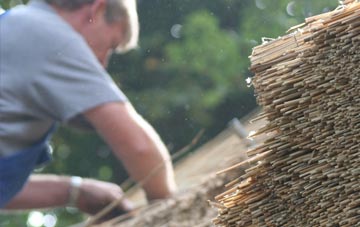 professional Hillington thatchers